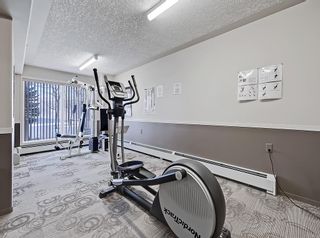 Photo 31: 431 5000 Somervale Court SW in Calgary: Somerset Apartment for sale : MLS®# A2011064
