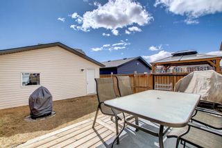 Photo 42: 198 Copperpond Street SE in Calgary: Copperfield Detached for sale : MLS®# A1205857