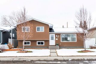 Main Photo: 28 Queen Isabella Close SE in Calgary: Queensland Detached for sale : MLS®# A2119933