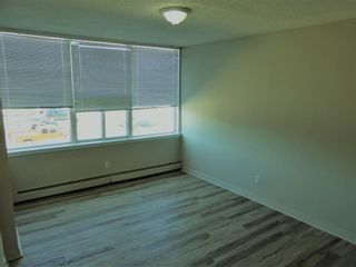 Photo 13: 106 4820 47 Avenue: Red Deer Apartment for sale : MLS®# A1200207