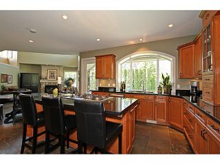 Photo 8: 15808 SOMERSET PL in Surrey: Morgan Creek House for sale (South Surrey White Rock)  : MLS®# F1440495