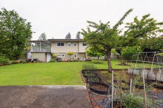 Photo 31: 559 MIDVALE Street in Coquitlam: Central Coquitlam House for sale : MLS®# R2896501