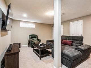 Photo 41: 158 Citadel Meadow Gardens NW in Calgary: Citadel Row/Townhouse for sale : MLS®# A1112669