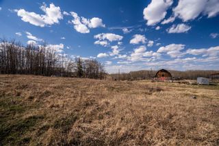 Photo 37: 34551 Range Road 12: Rural Red Deer County Detached for sale : MLS®# A2125667