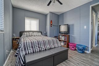 Photo 21: 287 6220 17 Avenue SE in Calgary: Red Carpet Mobile for sale : MLS®# A1218144