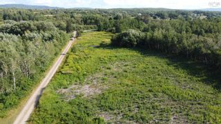 Photo 5: Lot 6 Neptune Lane in Ponds: 108-Rural Pictou County Vacant Land for sale (Northern Region)  : MLS®# 202205876