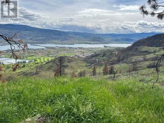Photo 3: N/A DL3557S in Osoyoos: Vacant Land for sale : MLS®# 10312886