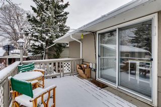 Photo 47: 4232 5 Avenue SW in Calgary: Wildwood Detached for sale : MLS®# A2021489