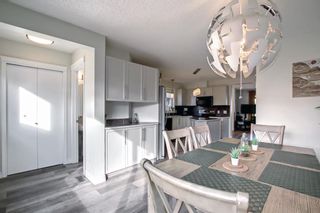 Photo 14: 149 Prestwick Heights SE in Calgary: McKenzie Towne Detached for sale : MLS®# A1151764