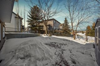 Photo 41: 166 Hillview Road: Strathmore Detached for sale : MLS®# A2036065