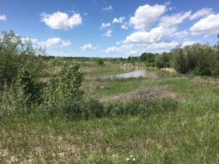 Photo 18: TR 195A: Rural Foothills County Land for sale : MLS®# C4256111