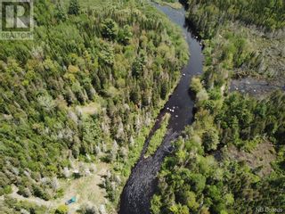 Photo 13: Lot B Canoose Stream Road in Canoose: Vacant Land for sale : MLS®# NB090910
