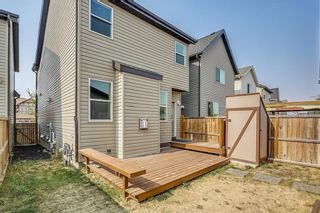 Photo 36: 1303 NEW BRIGHTON Drive SE in Calgary: New Brighton House for sale : MLS®# C4137710