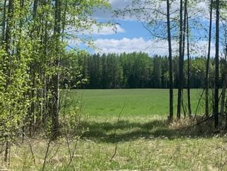 Photo 3: West of Cowboy Trail  #22 in Rural Wetaskiwin No. 10, County of: Rural Wetaskiwin County Residential Land for sale : MLS®# A1230343