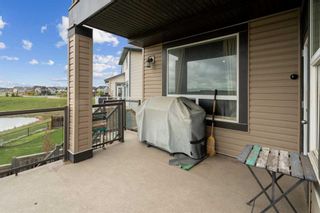 Photo 40: 131 Skyview Point Road NE in Calgary: Skyview Ranch Detached for sale : MLS®# A2134650