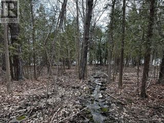 Photo 24: PT LT 44, C1 Cattail Ridge in Manitowaning: Vacant Land for sale : MLS®# 2110485
