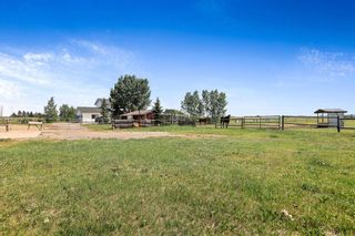 Photo 40: 254249 Range Road 282 in Rural Rocky View County: Rural Rocky View MD Detached for sale : MLS®# A2118571