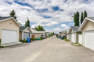 Photo 38: 95 Taradale Drive NE in Calgary: Taradale Detached for sale : MLS®# A2124103