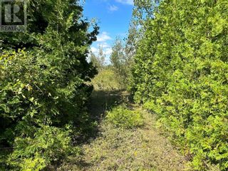 Photo 8: YULE ROAD in Merrickville: Vacant Land for sale : MLS®# 1360409