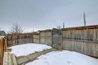 Photo 43: 77 Silverado Saddle Avenue SW in Calgary: Silverado Detached for sale : MLS®# A1191653