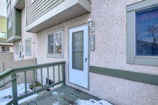 Photo 1: 141 405 64 Avenue NE in Calgary: Thorncliffe Row/Townhouse for sale : MLS®# A2012032