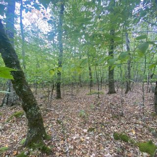 Photo 6: Lot 82 Sparkling Spring Lane in Labelle: 406-Queens County Vacant Land for sale (South Shore)  : MLS®# 202306324