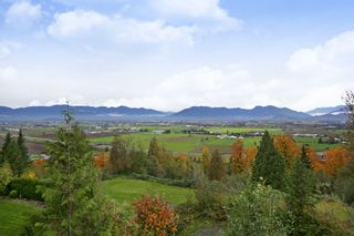 Photo 26: 281 51075 FALLS Court in Chilliwack: Eastern Hillsides House for sale in "EMERALD RIDGE" : MLS®# R2413892