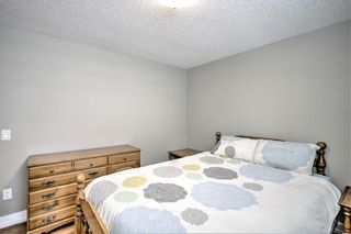 Photo 31: 456 Acadia Drive SE in Calgary: Acadia Detached for sale : MLS®# A1238226
