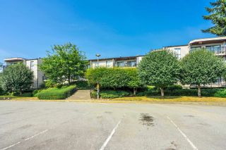 Photo 1: 315 9952 149 Street in Surrey: Guildford Condo for sale in "TALL TIMBERS" (North Surrey)  : MLS®# R2796269