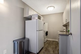 Photo 10: 206 314 14 Street NW in Calgary: Hillhurst Apartment for sale : MLS®# A1190465