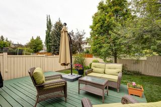 Photo 34: 18 Shannon Terrace SW in Calgary: Shawnessy Detached for sale : MLS®# A2053272