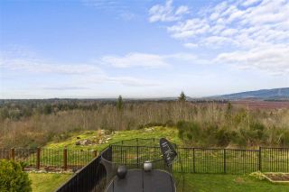 Photo 19: 22801 NELSON Court in Maple Ridge: Silver Valley House for sale : MLS®# R2552375