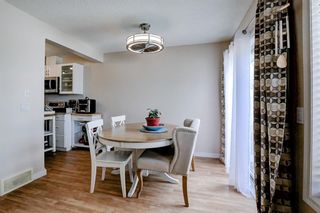 Photo 23: 162 Royal Birch Mount NW in Calgary: Royal Oak Row/Townhouse for sale : MLS®# A1245232