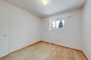 Photo 31: 4311 19 Street NW in Calgary: Charleswood Detached for sale : MLS®# A2127918