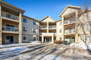 Main Photo: 307 3000 Citadel Meadow Point NW in Calgary: Citadel Apartment for sale : MLS®# A2012008