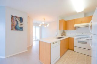 Main Photo: PH12 5438 RUPERT Street in Vancouver: Collingwood VE Condo for sale in "Queensland" (Vancouver East)  : MLS®# R2859214