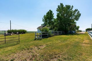 Photo 30: 336132 Hwy 547: Rural Foothills County Detached for sale : MLS®# C4255448