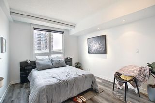 Photo 19: 1017 8880 Horton Road SW in Calgary: Haysboro Apartment for sale : MLS®# A1223060
