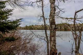 Photo 7: Lot N4 Nature Haven Road in Lake Paul: Kings County Vacant Land for sale (Annapolis Valley)  : MLS®# 202207659