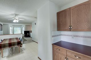 Photo 10: 110 Erin Meadow Crescent SE in Calgary: Erin Woods Detached for sale : MLS®# A1237787