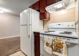 Photo 3: 7 3911 1 Street NE in Calgary: Highland Park Apartment for sale : MLS®# A1219732