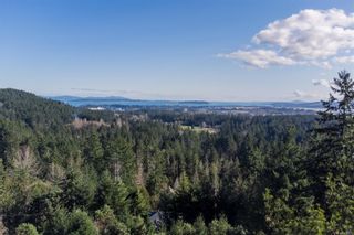 Photo 63: 11284 Hickory Dr in North Saanich: NS Lands End House for sale : MLS®# 895938