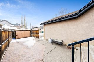 Photo 33: 8561 Wentworth Drive SW in Calgary: West Springs Detached for sale : MLS®# A1191230