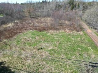 Photo 4: Lot Highway 4 in Linacy: 108-Rural Pictou County Vacant Land for sale (Northern Region)  : MLS®# 202308361