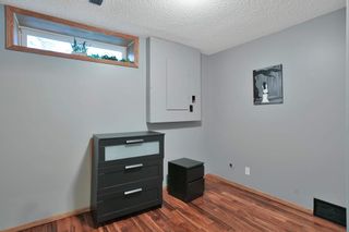 Photo 31: 90 Logan Close: Red Deer Detached for sale : MLS®# A2053544