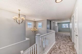 Photo 15: 58 Sherwood Terrace NW in Calgary: Sherwood Detached for sale : MLS®# A2106844