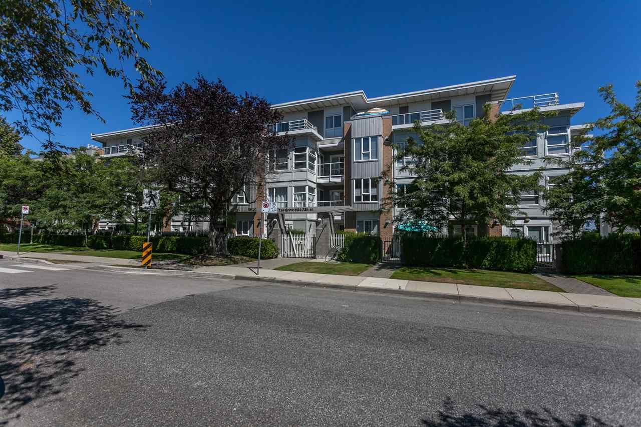 Main Photo: 211 6198 ASH Street in Vancouver: Oakridge VW Condo for sale in "THE GROVE" (Vancouver West)  : MLS®# R2193582
