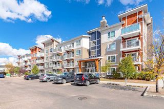 Main Photo: 6215 302 Skyview Ranch Drive NE in Calgary: Skyview Ranch Apartment for sale : MLS®# A2084627