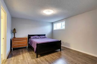 Photo 8: 206 Mckenzie Towne Close SE in Calgary: McKenzie Towne Row/Townhouse for sale : MLS®# A2074212