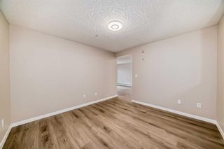 Photo 21: 209 1717 60 Street SE in Calgary: Red Carpet Apartment for sale : MLS®# A2133379